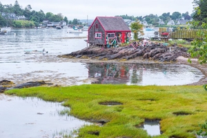 Scenic Wildlife & Nature Photographer Portland, ME