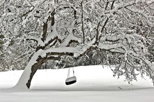 Winter Wilderness Photography Brunswick, ME