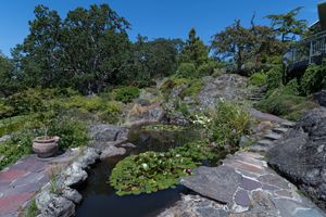 Pacific Northwest Wildlife Photographer Portland, ME