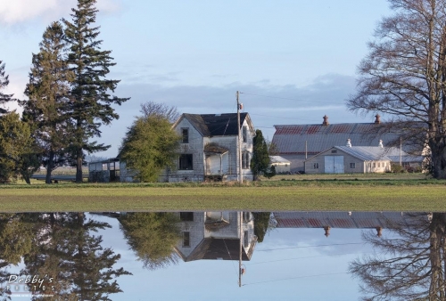 WA5342 Country Reflection