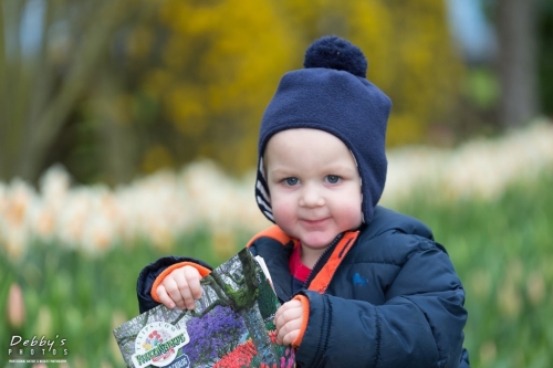 WA5348 Little Boy and Daffodils