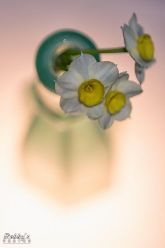 WA5357 Flowers in a Vase