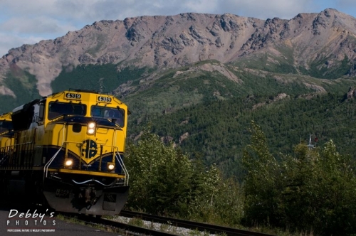 AK42 Train Coming into the Denali Depot