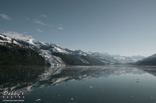 AK65 Glaciers in Cul-de-sac and Reflection