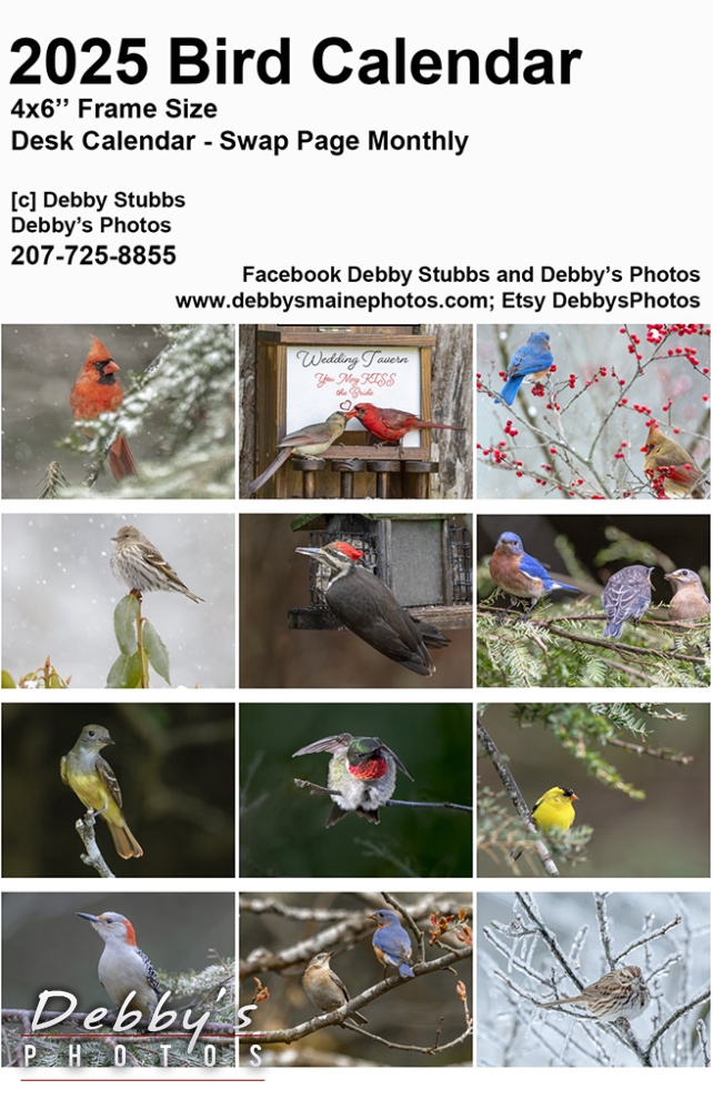 2025-bird-desk-calendar-template-