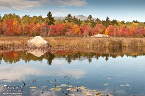 2836 Fall Scenic of Mt. Katahdin, Water, Lily Pads