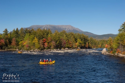 3765 Fall Foliage, Mt. Katahdin, Rafters