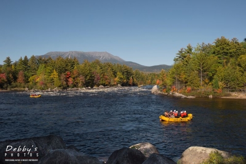 3770 Fall Foliage, Mt. Katahdin, Rafters