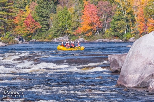 3797 River Rafters, Fall Foliage