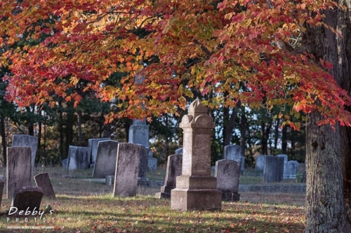 4082 Fall Leaves at Maquoit Cemetery, Brunswick, Maine