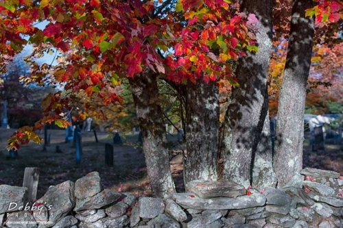 4083 Fall Color Maquoit Cemetery, Brunswick, Maine