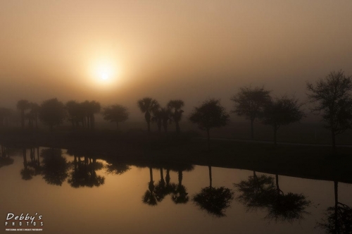 FL3326 Sunrise through Fog