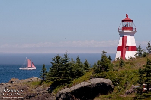 1126 E. Quoddy and Red Sailboat, Nova Scotia