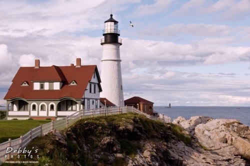 2436 Portland Head with Gull, Cape Elizabeth