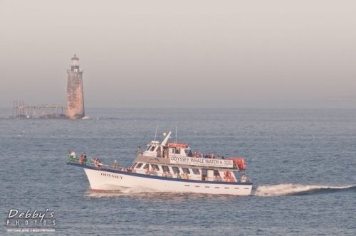3366 Ram Island Ledge and Odyssey Whale Watch Boat, Casco Bay