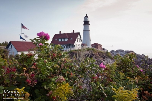 3368 Portland Head with Flowers, Cape Elizabeth