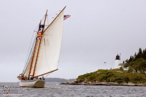 83 American Eagle and Burnt Island Light, Boothbay Harbor