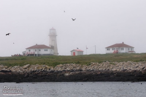 1374 Machias Seal Lighthouse