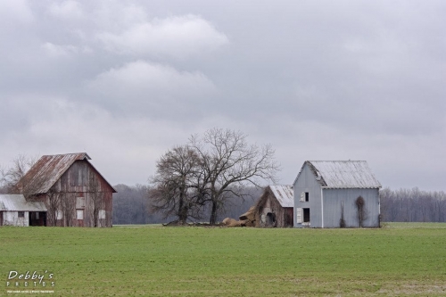 3598 Old Abandoned Farm, Maryland
