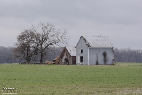 3598b Old Abandoned Farm, Maryland