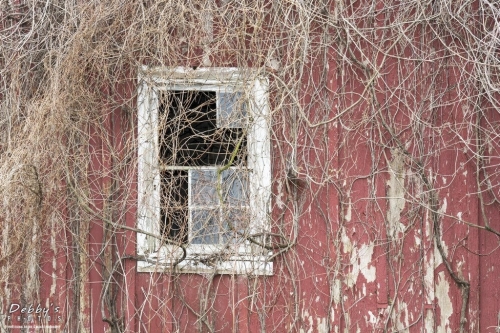 3599 Old Barn Window