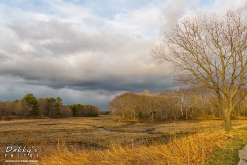 3828 Maquoit Late Day Light