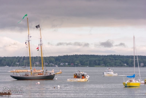 4005 Sailboats, Bailey Island