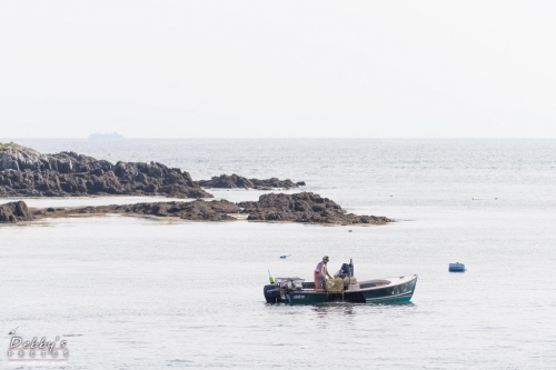 6010 Lobster Fisherman off Lands End, Bailey Island