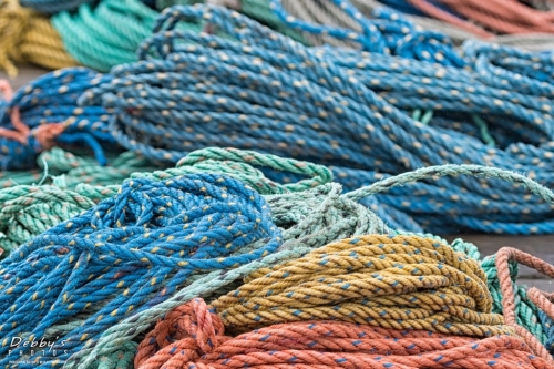 6029 Harpswell, Colorful Fishing Rope