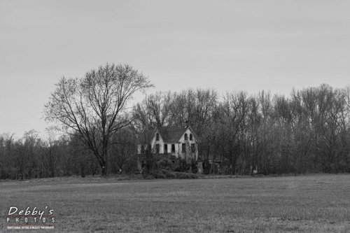 4312 Abandoned House in the Rain, black and white, Maryland