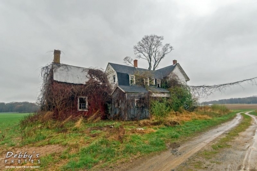 4320 Abandoned House in the Rain, Maryland