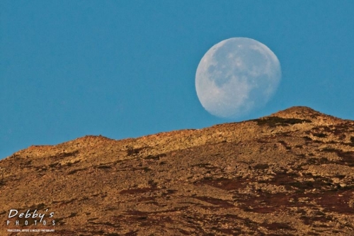 2835 Setting Moon at Sandy Stream Pond over the Mountain