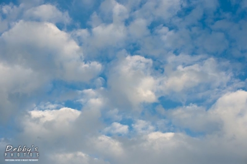 FL3859 Puffy Clouds in Early Morning Sky