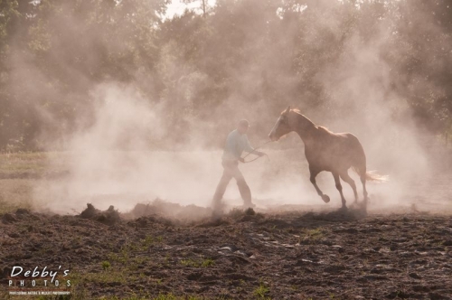 3146 Kicking Up Dust