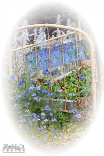 4449 Nigella Flowers, antique wrought iron bed