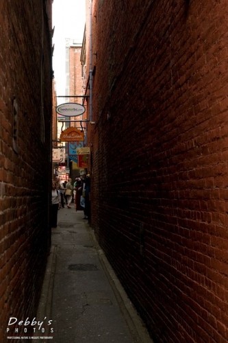 AK21 Narrowest Street in No. America