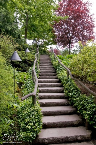 AK30 Steps to a Japanese Garden