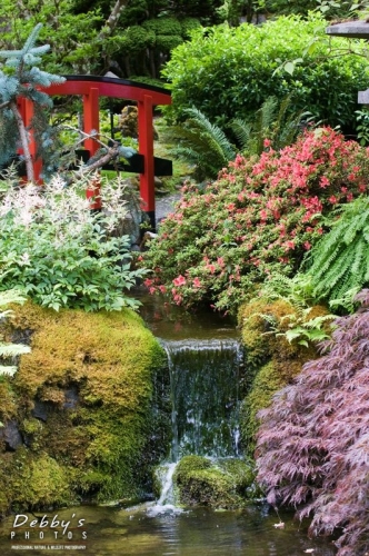 AK32 Waterfall in japanese garden