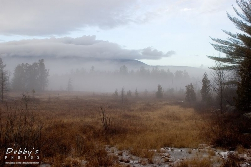 284 Foggy Mountain and Dusting of Snow