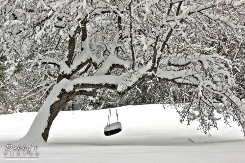 300b Snowstorm, Tire Swing