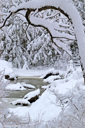 310 Creek Snowstorm