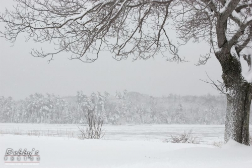 470 Snowstorm at the Bay