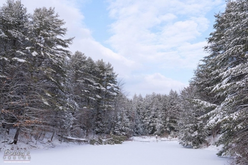 5752 Snow and Blue Sky at the pond