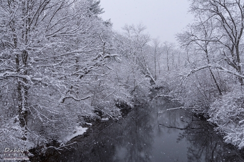 7016 Snowstorm, Trees and Stream