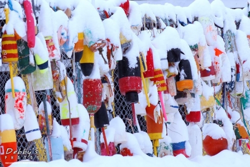 993 Snow Covered Lobster Buoys
